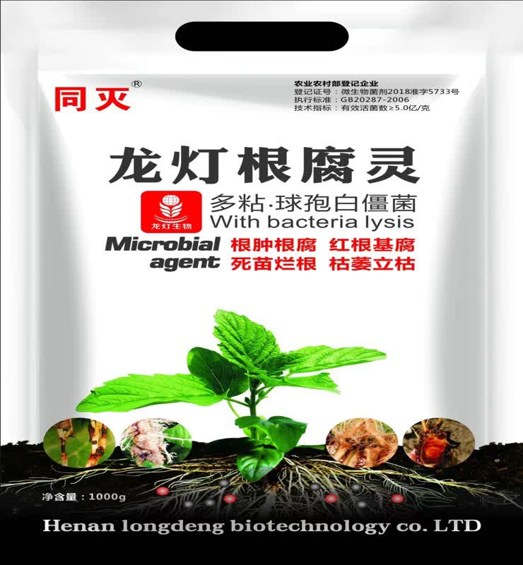根腐灵