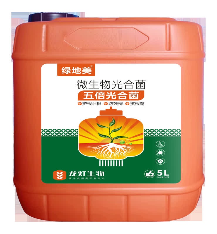 五倍光合菌